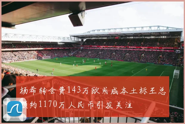 杨希转会费143万欧或成本土标王总额约1170万人民币引发关注