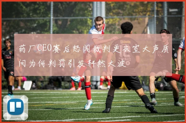 药厂CEO赛后怒闯裁判更衣室大声质问为何判罚引发轩然大波