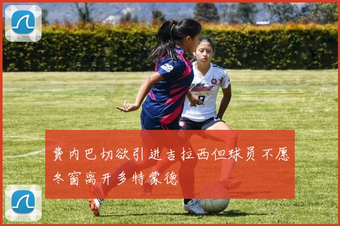 费内巴切欲引进吉拉西但球员不愿冬窗离开多特蒙德