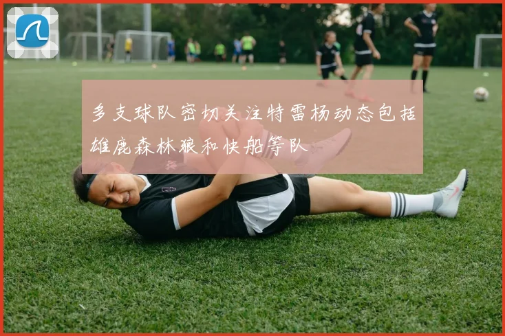 多支球队密切关注特雷杨动态包括雄鹿森林狼和快船等队