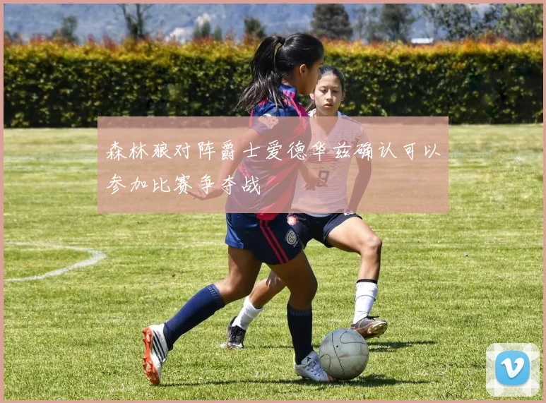 森林狼对阵爵士爱德华兹确认可以参加比赛争夺战