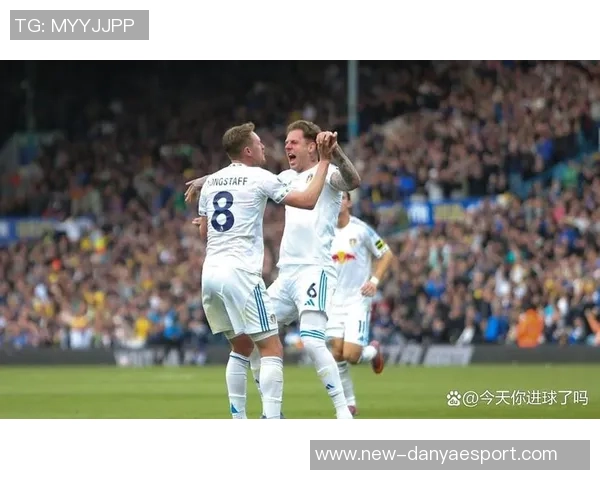 利兹联球迷两度向热刺球员投掷物品或将遭遇高额罚款